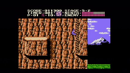 Ninja Gaiden [003] Almost done!
