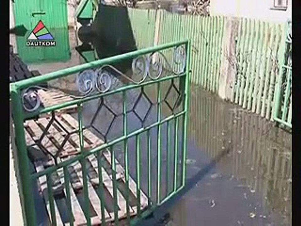 Грива тонет