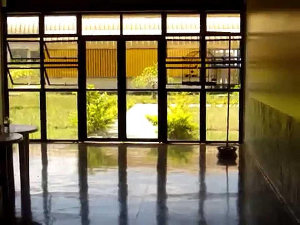 Bicudo Peito de Aço