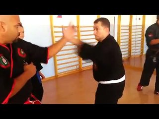 Advanced Kajukenbo Self Defense System 2013 Ponferrada Spain Seminar Clip #7   ( Advanced Method )