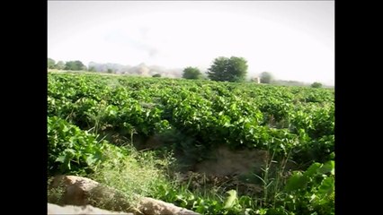 A-10 Warthog, The hand of god (Combat footage)