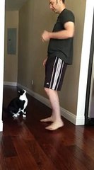 Best Kitty Hug Ever!