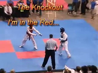 Tae Kwon Do Knockout