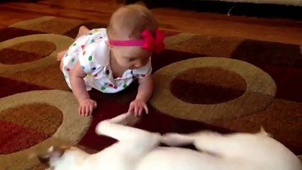 Buddy's Baby Crawling School