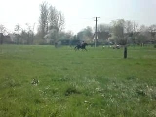 Pauline et Glénan galop