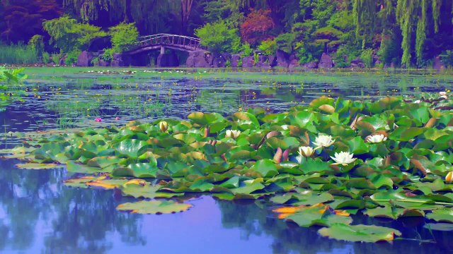 -[MV] Apink(에이핑크) _ Petal(꽃잎점)