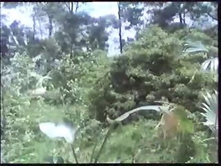 Platoon Leader ( 1988 ) Part 3