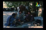 Hazrat Yousuf (A.S) Episode 05 |  حضرت یوسف ع | Payam