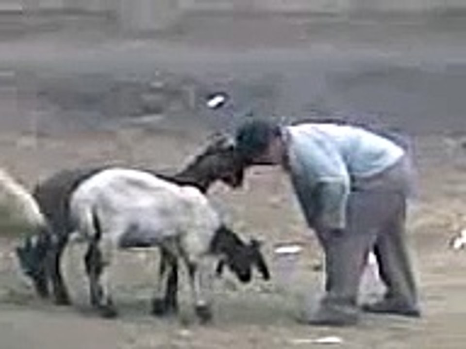 نار نار نار نار  بتموت من ضجك