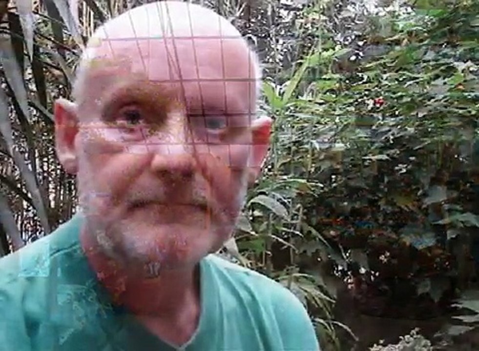 Birth Zoo -Danmark 2010