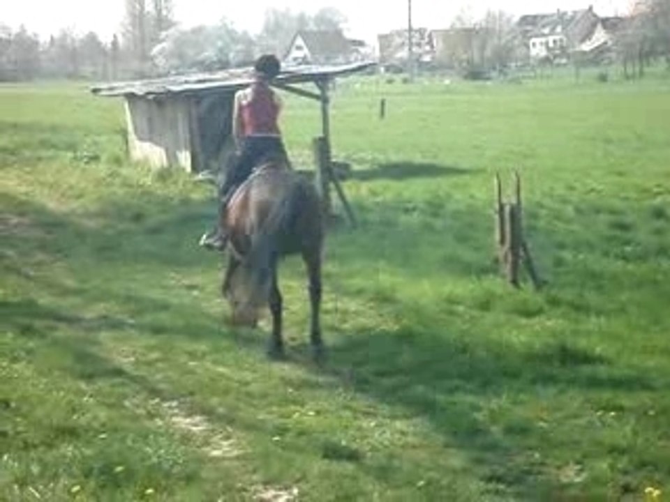 Pauline et Glénan saut