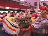Danza de los dragones chinos (Año nuevo chino) 2009