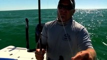 In The Spread Cobia Fishing Baits & Lures