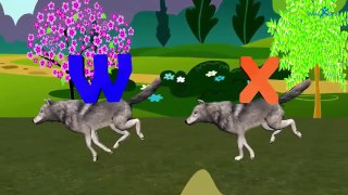 Wolf Animals Cartoon ABC Songs for Children | ABC Rhymes for Preschool | ABC Children Nursery Rhy