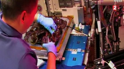 Des astronautes mangent une salade cultivée dans l'espace