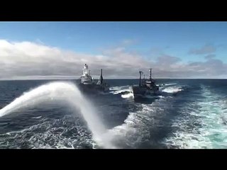 Sea Shepherd Bob Barker blocking the transfer of a whale 15.02.2013