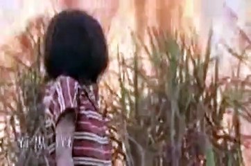 「白旗の少女」の紹介ビデオ