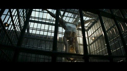 Bande-annonce : Suicide Squad - VOST