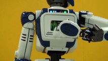Humanoid Platform for Robotics - Real Robots