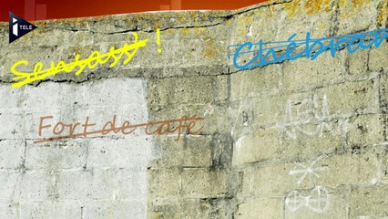 La mort du "LOL" annoncée par Facebook