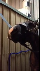 Sheath cleaning