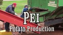 PEI Potato Production