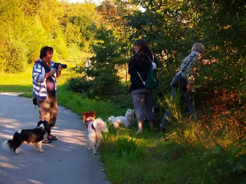 Als de sterren daar boven stralen Als de sterren daar boven stralen