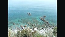 Milazzo, le isole Eolie e i delfini