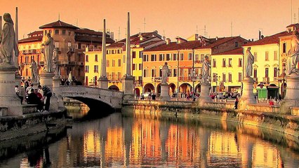 Taming of the Shrew in Less Than 5 Minutes