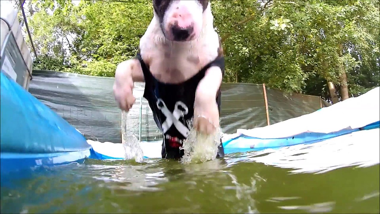 :p