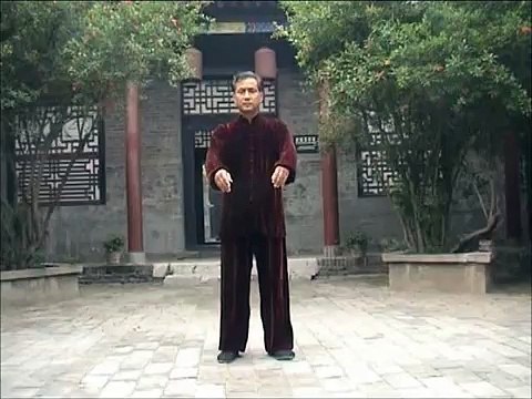 Traditional Wu3 Style （武氏）Tai Chi Chuan Form: Zhong Zhenshan （钟振山）