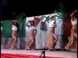 Baile de entrada Candidatas a Reinas San Lucas bicentenario 2010