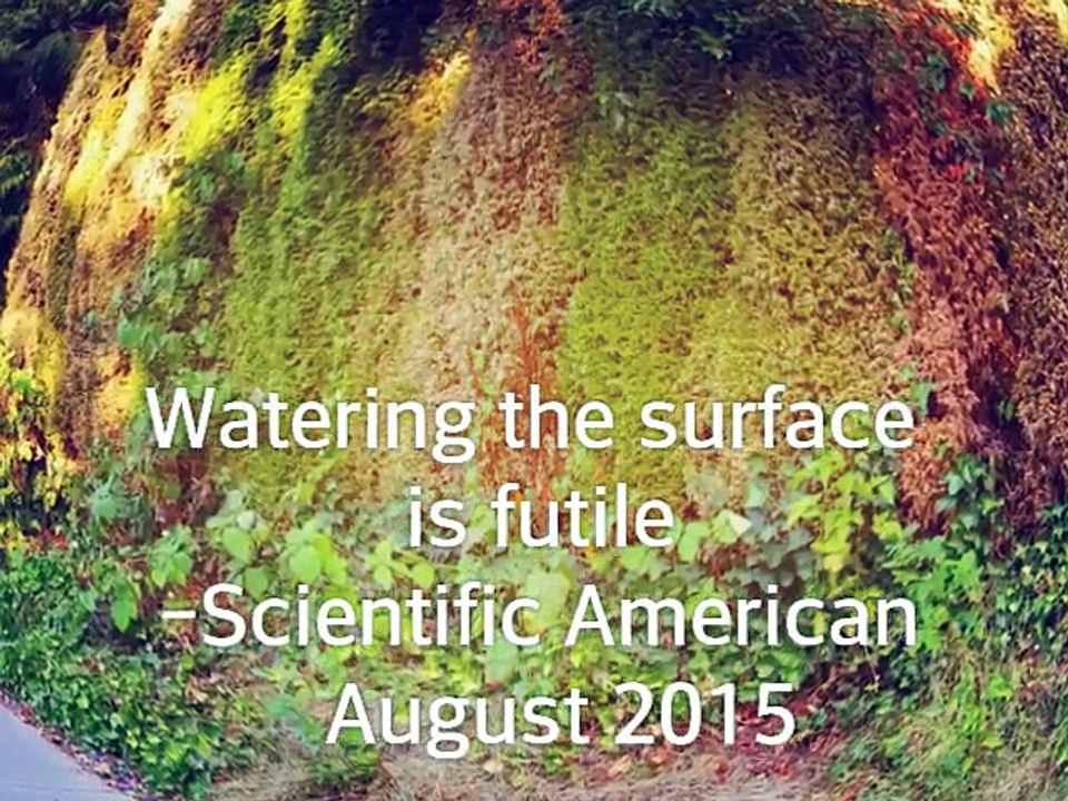 HOW TO SAVE CALIFORNIA FARMS, TREES, FROM DROUGHT CLIMATE, WATER SHORTAGE, THE SOLUTION,  CALIFORNIA TREE KEEPERS SAVERS