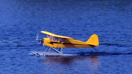 Large Scale RC float plane