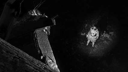 #InsuranceThatFits: "Mighty Oak"- TD Insurance Commercial 2015