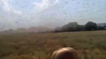 Man Battles Swarm of Locusts by Himself