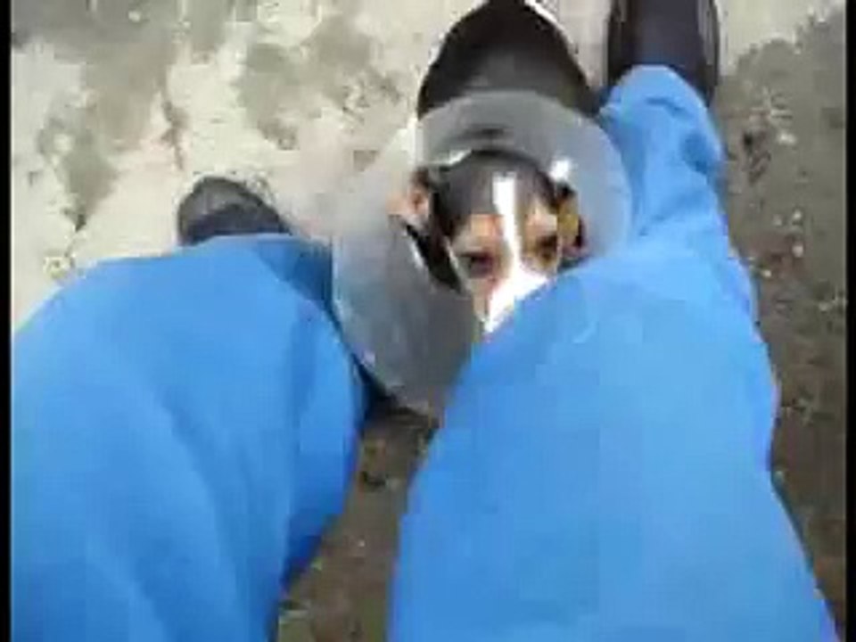 lulzpitbullz  radar system