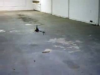 E-razor 450 upgraded servos other wise stock hovering test 2nd flight without training sticks