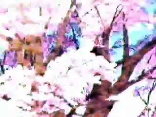 Windows版同級生 TVCM