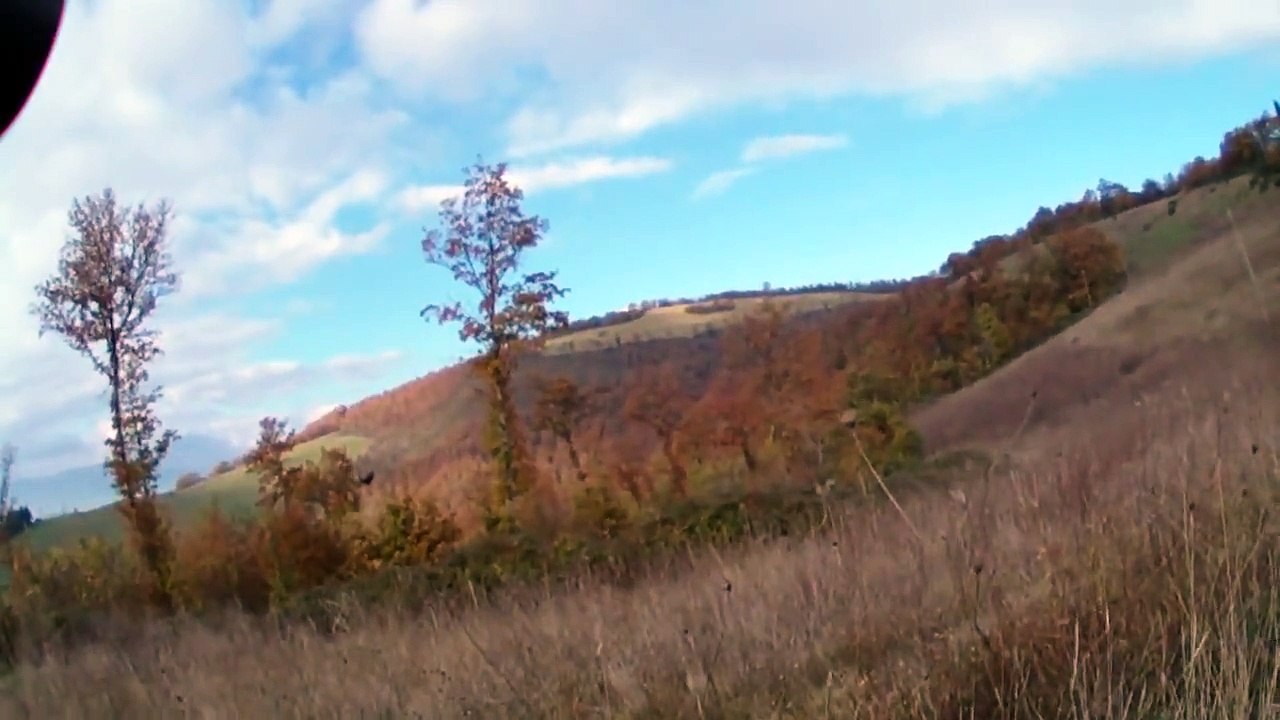 caccia al cinghiale acquapendente  COPERTONE