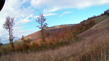 caccia al cinghiale acquapendente  COPERTONE