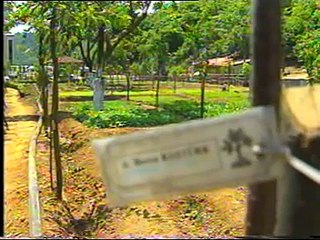 CNN Türk Ayfer Erdem İle Doğa Koleji Üzerine Konuştu...