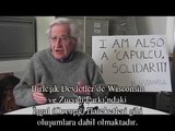 Noam Chomsky's call to the World about the Taksim Gezi Park Resistance