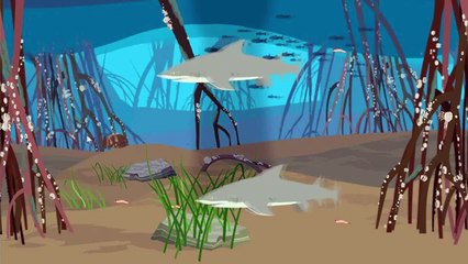 River Rollercoaster - Mangrove 1 | PLUM LANDING on PBS KIDS