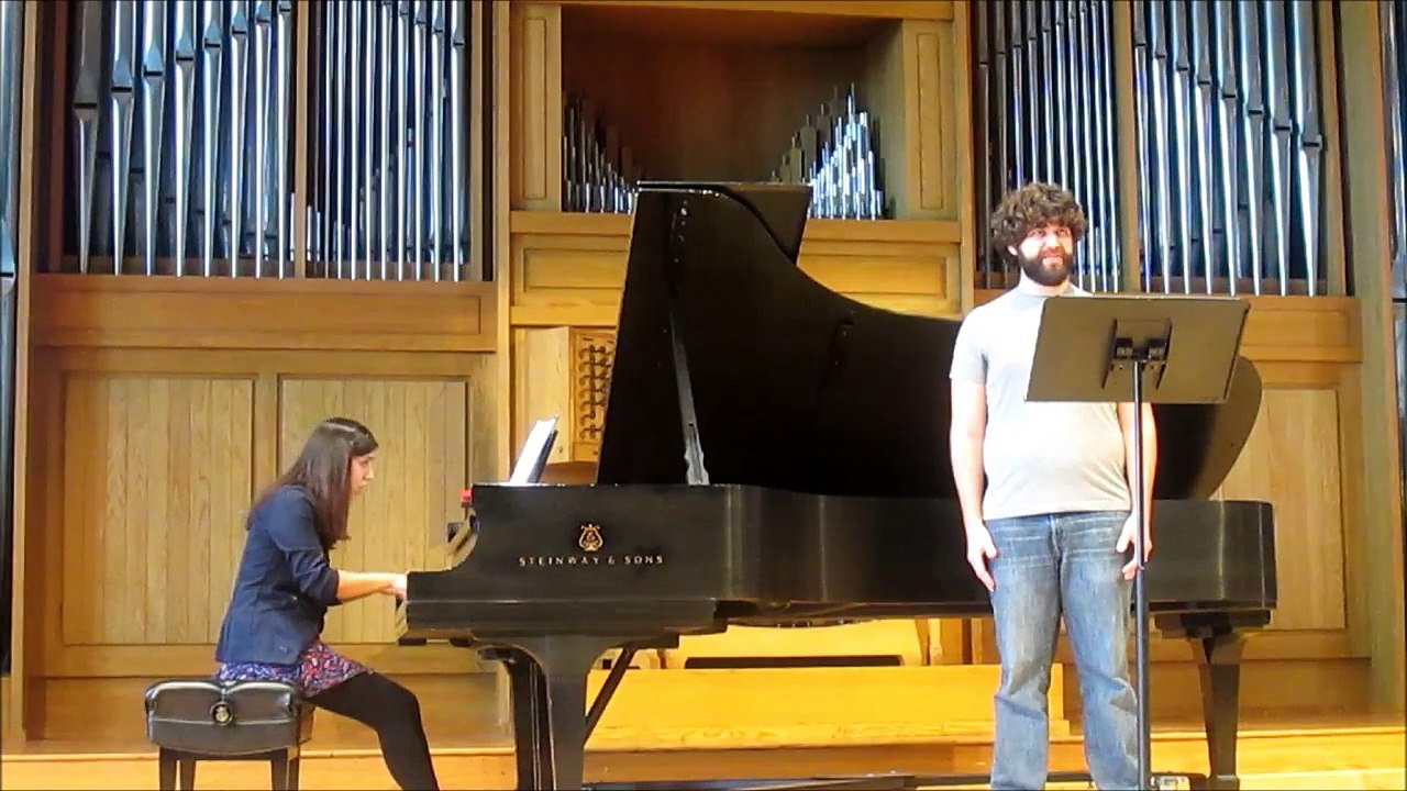 Vaughan Williams - The Vagabond- Songs of Travel