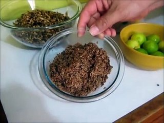 REFRESCO O AGUA DE CEBADA CON LINAZA