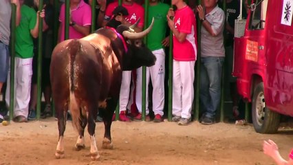 BOUS AL CARRER LLIRIA 2014 Toro Cerril Ganaderia Sanchez Cobalera Nº16 09.Octubre