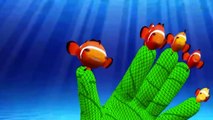 Finding Nemo Cartoon Finger Family   Children Nursery Rhymes