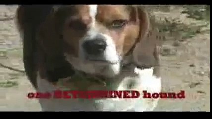 The Fox and the Hound Trailer