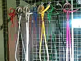 Team Elite Greyhound Racing